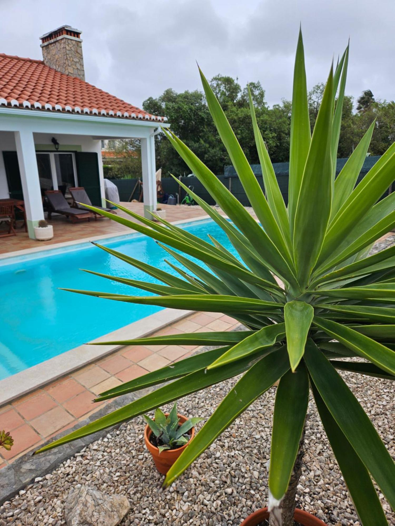 Casa Delbon Guest House Aljezur Esterno foto